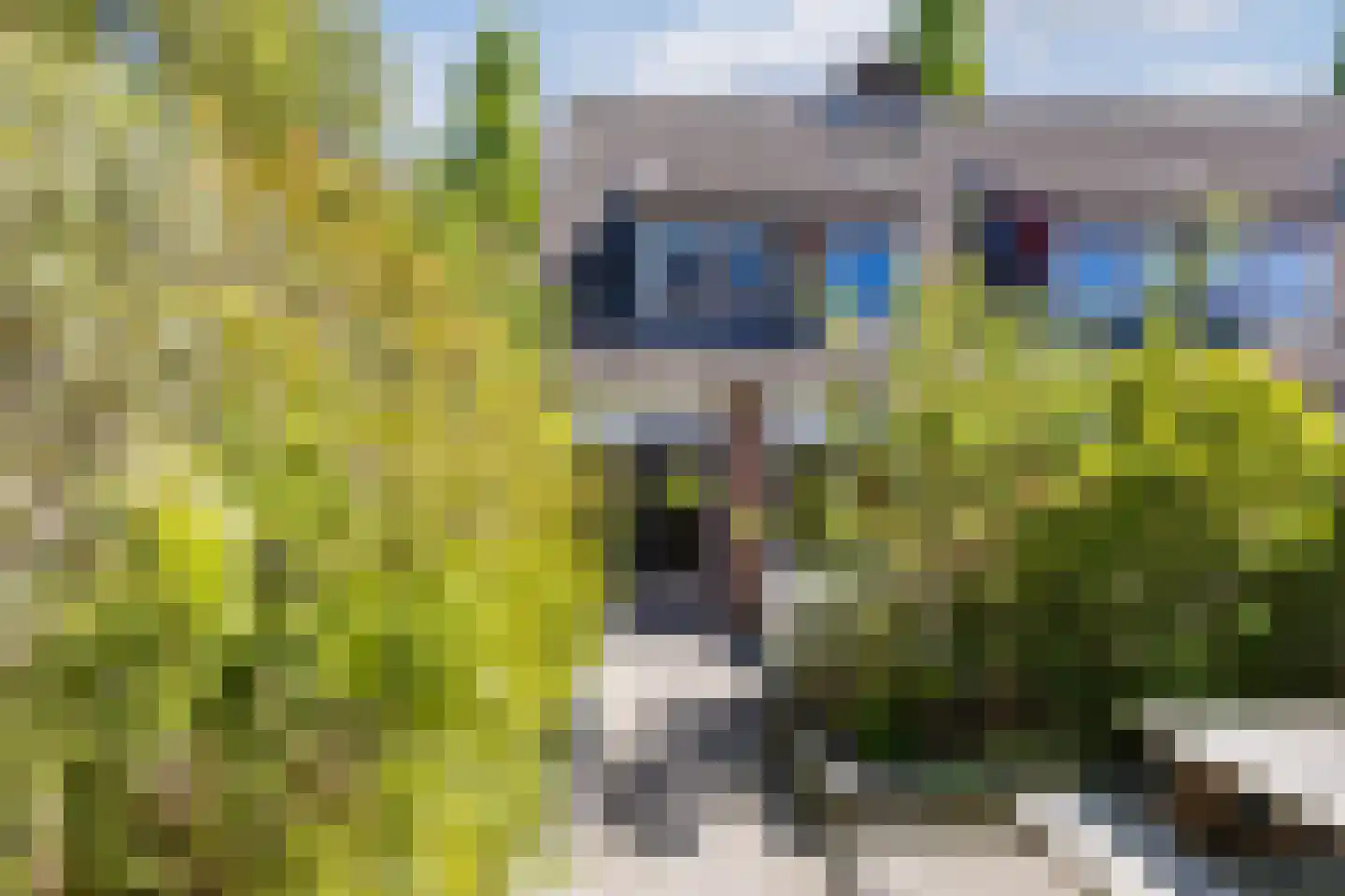 Ring 216 Hendrik-Ido-Ambacht thumbnail 34