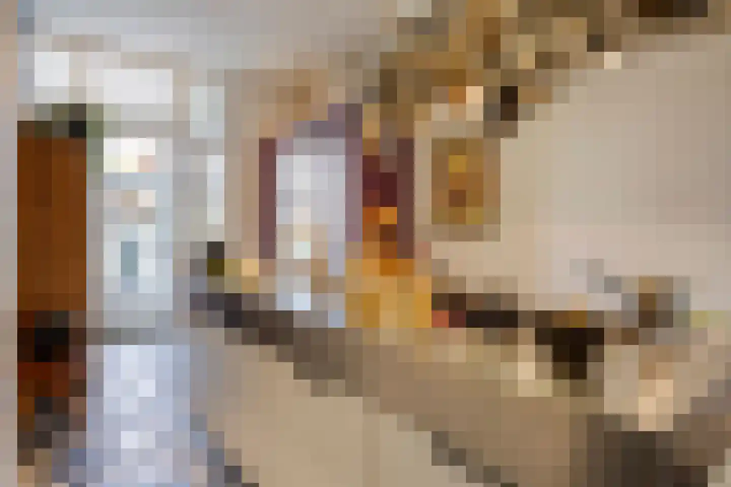 Ring 22 Zuidland thumbnail 11