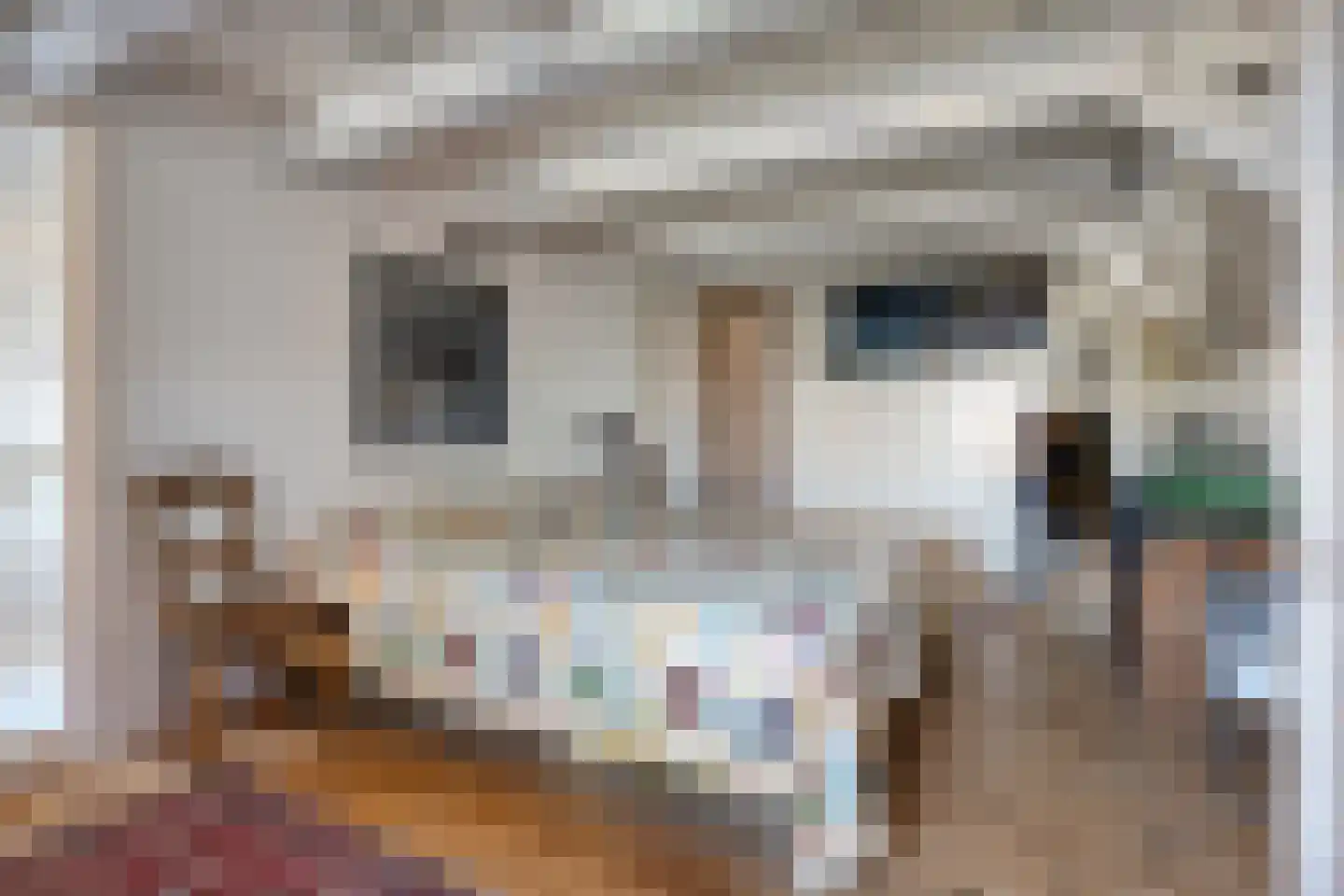 Ring 22 Zuidland thumbnail 22