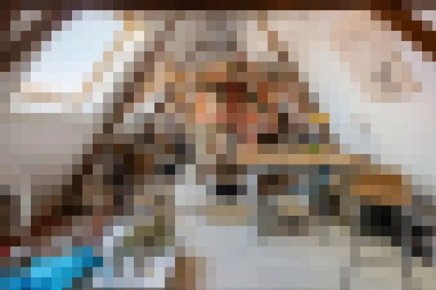 Ring 22 Zuidland thumbnail 35
