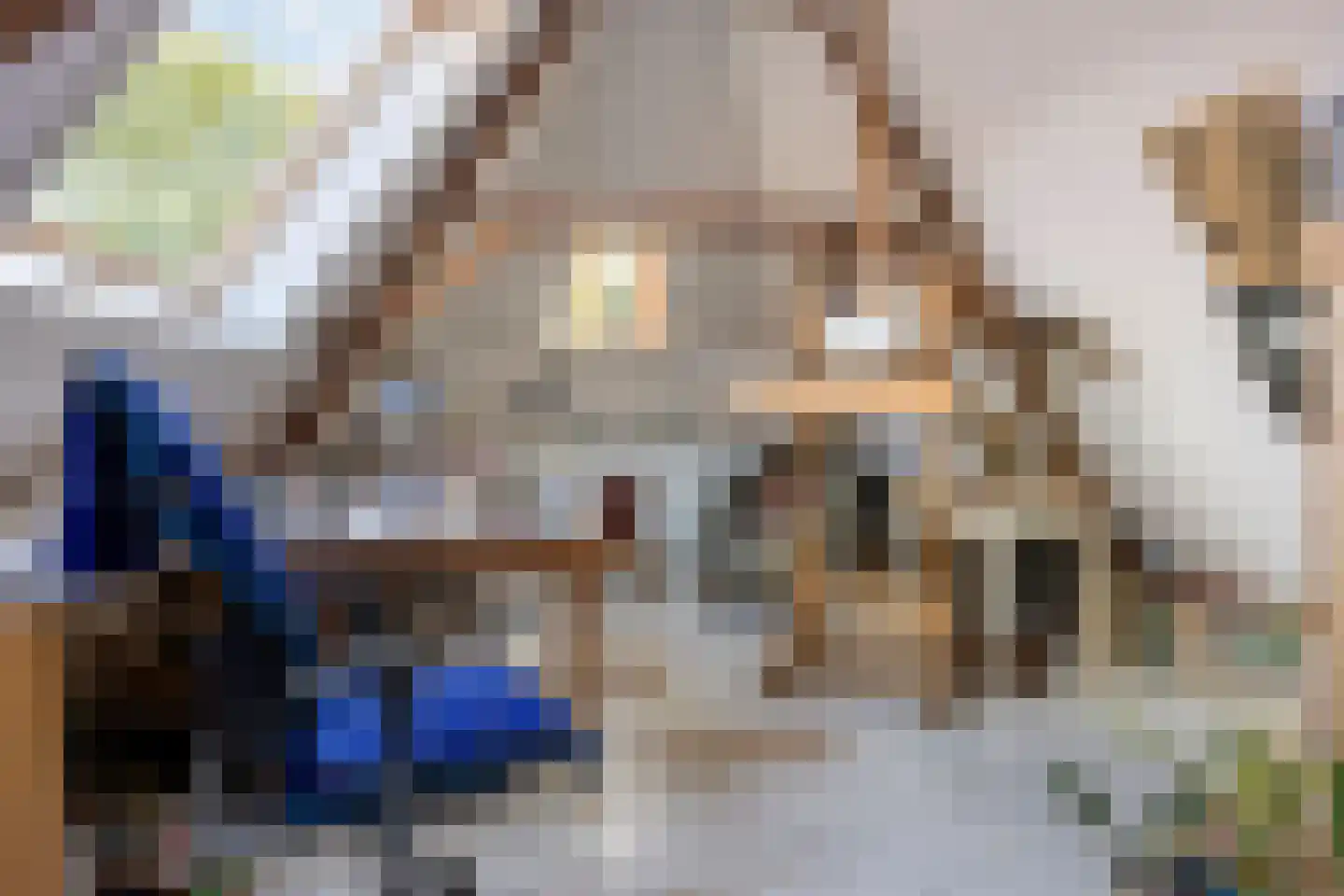 Ring 22 Zuidland thumbnail 37