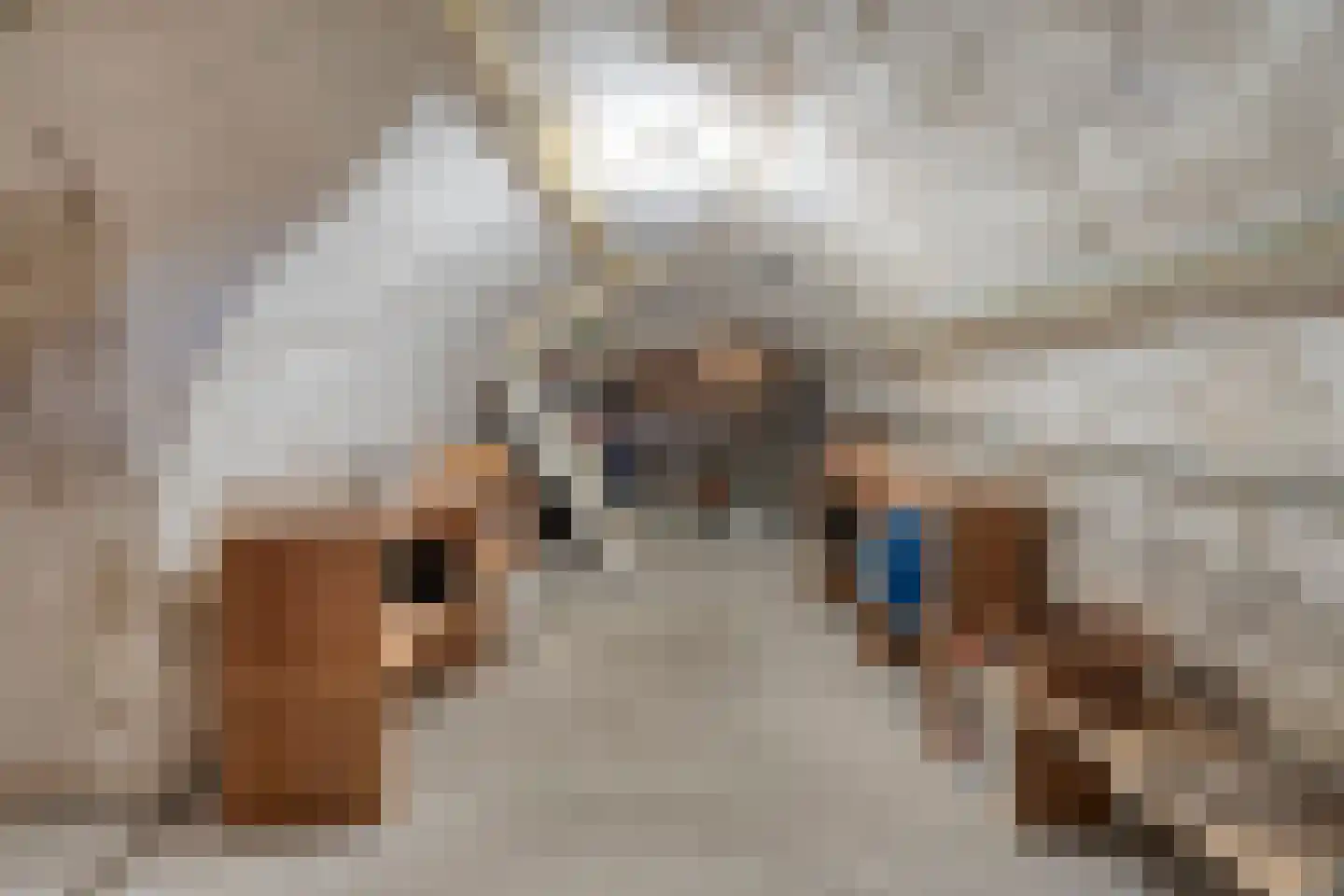Ring 22 Zuidland thumbnail 39