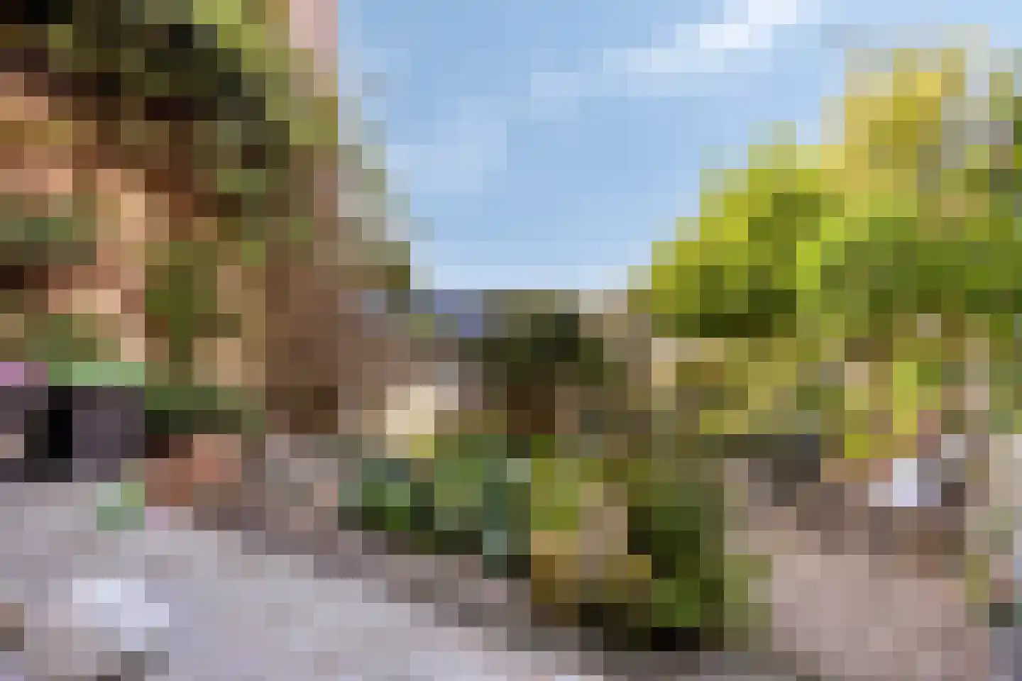 Ring 22 Zuidland thumbnail 43