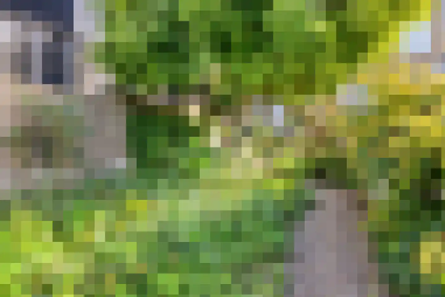 Ring 22 Zuidland thumbnail 47