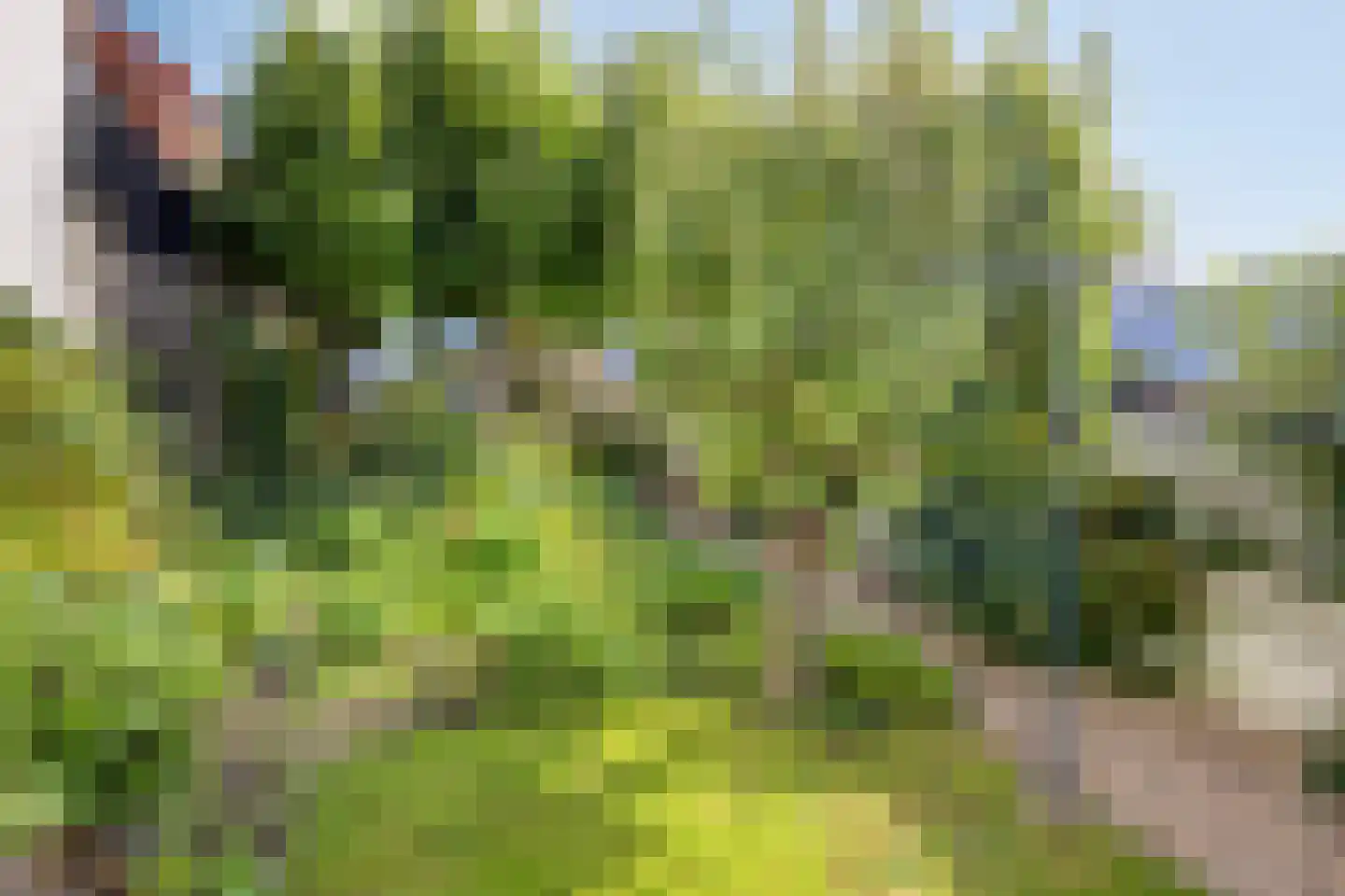 Ring 22 Zuidland thumbnail 48