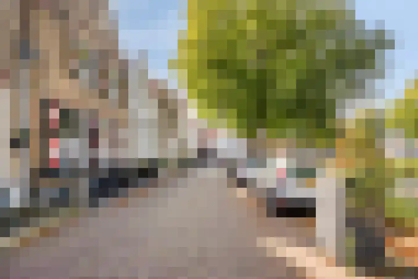 Ring 22 Zuidland thumbnail 51