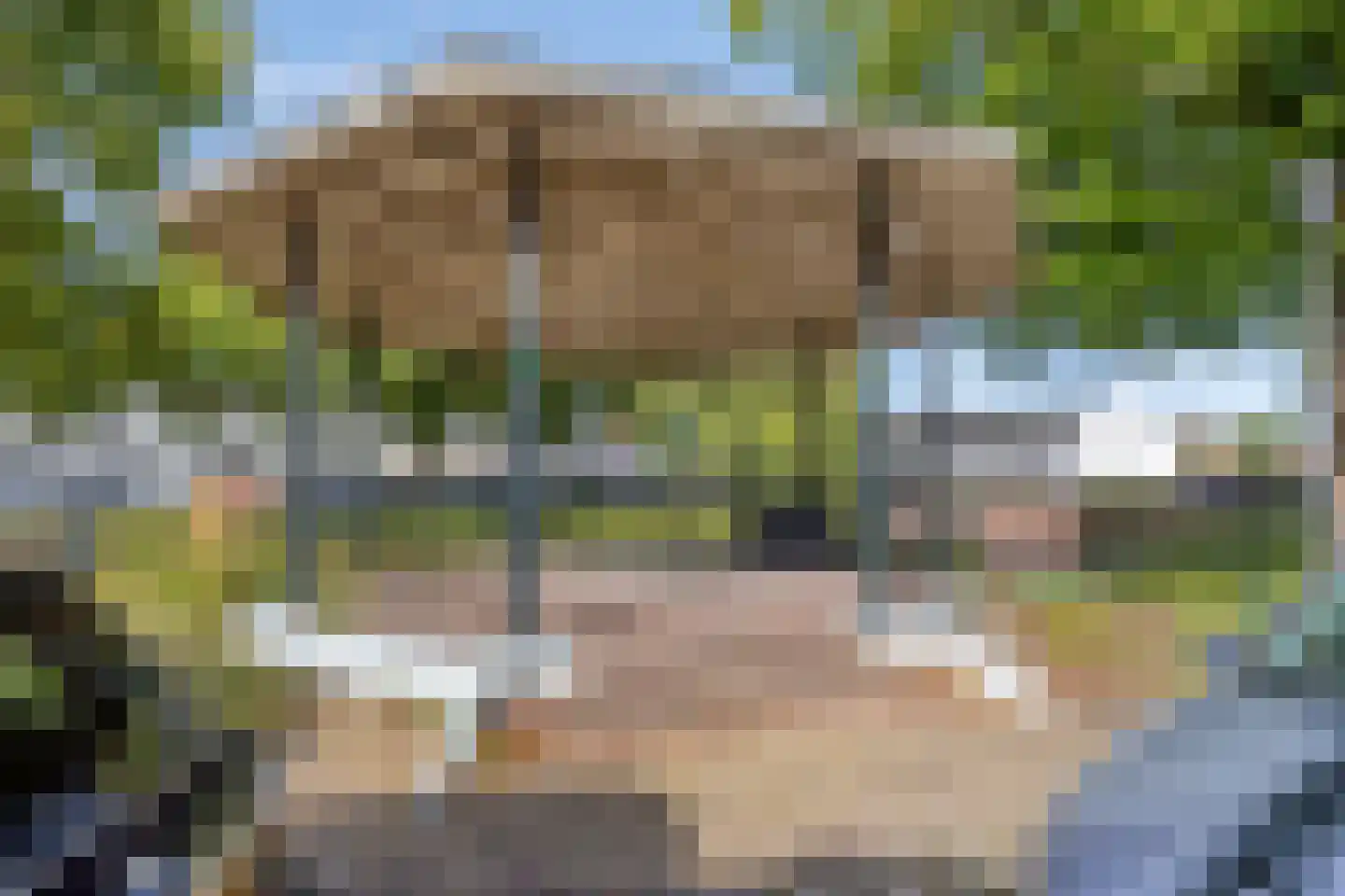 Ring 22 Zuidland thumbnail 52