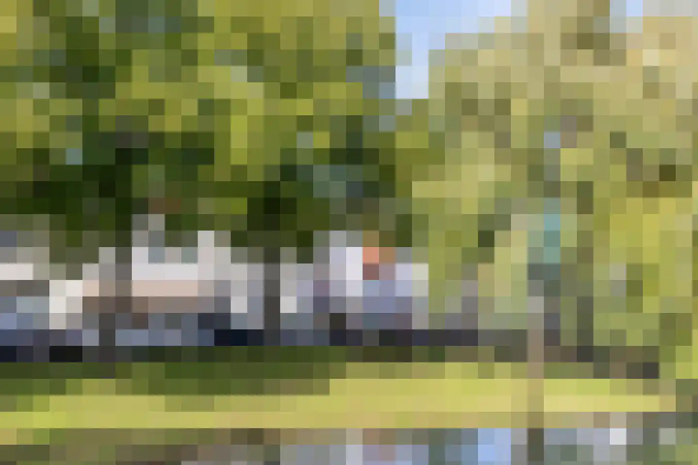 Ring 22 Zuidland thumbnail 54