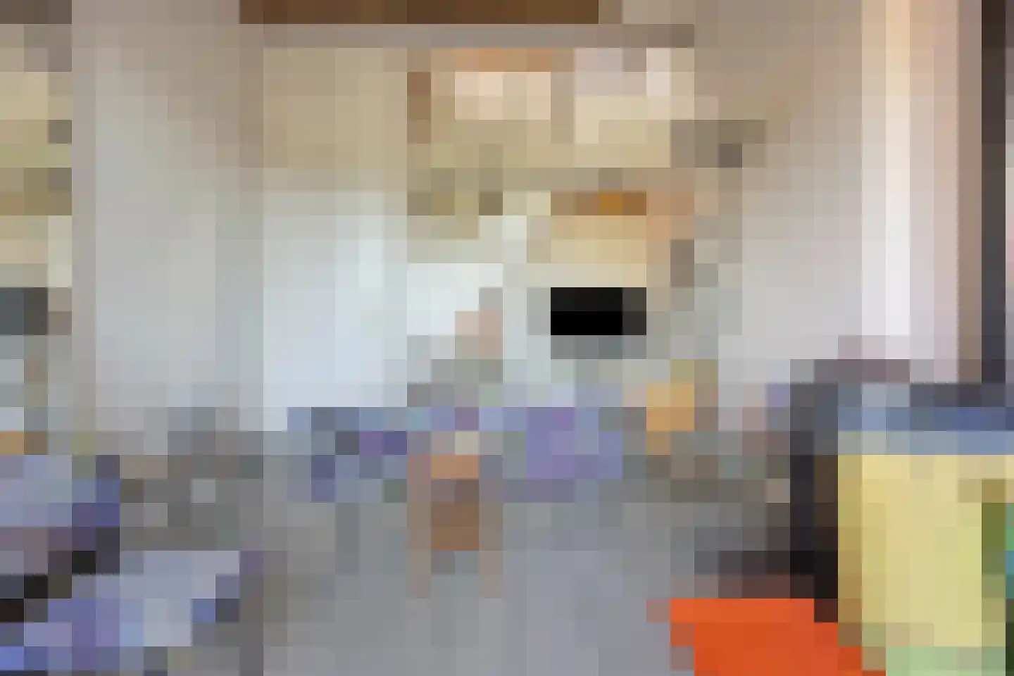 Ring 22 Zuidland thumbnail 6