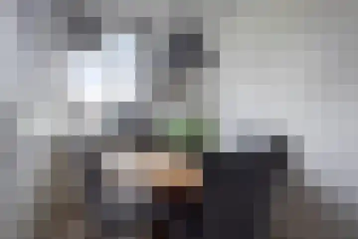 Ring 247 Hendrik-Ido-Ambacht thumbnail 6