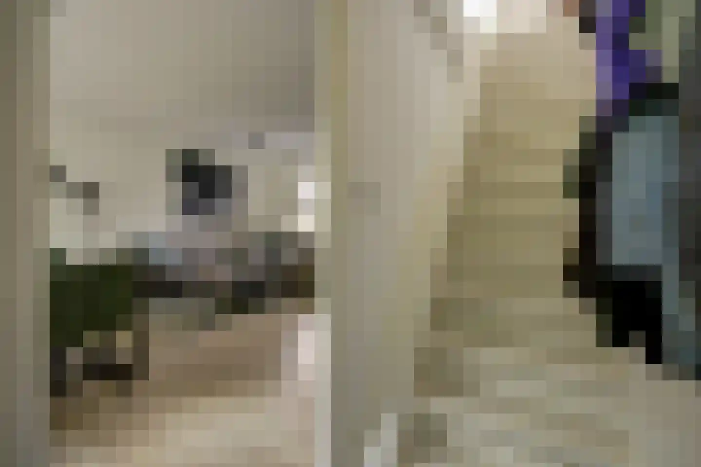 Ring 25 Ouwerkerk thumbnail 10