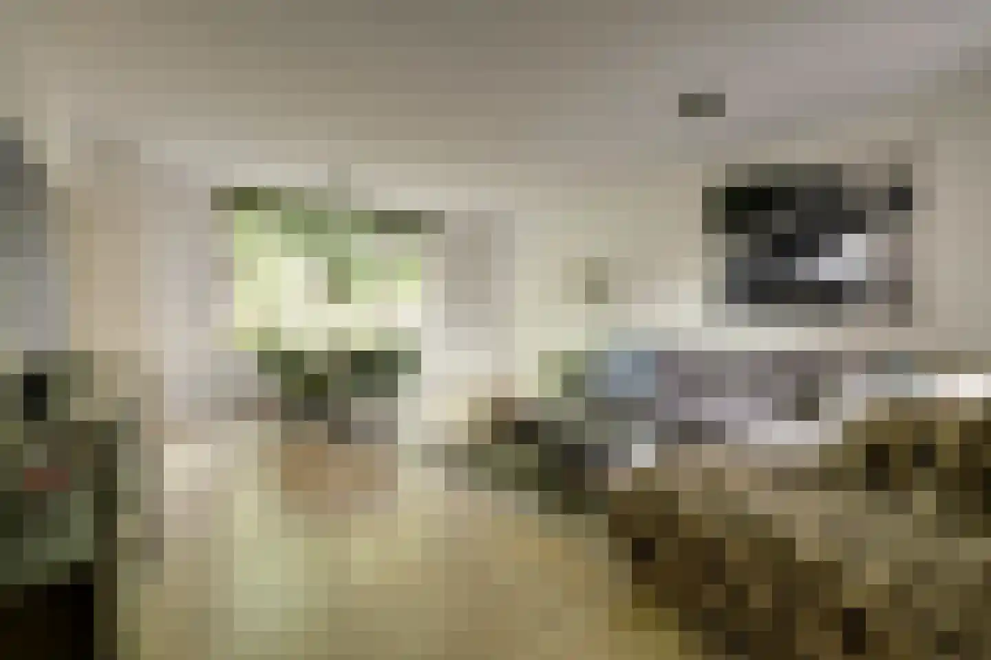 Ring 25 Ouwerkerk thumbnail 15