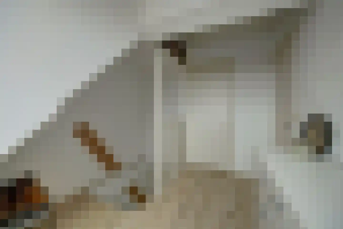 Ring 25 Ouwerkerk thumbnail 22