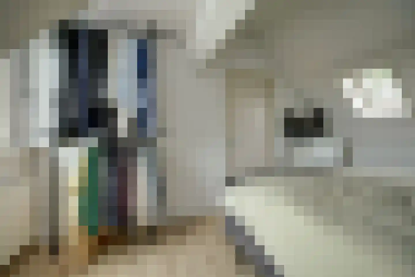 Ring 25 Ouwerkerk thumbnail 24