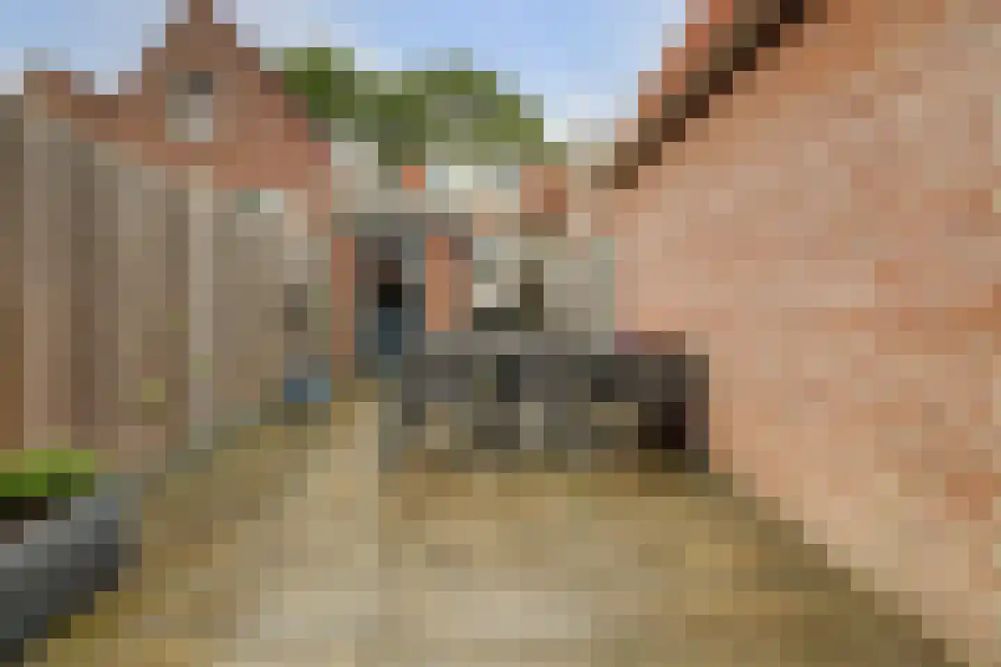 Ring 25 Ouwerkerk thumbnail 29