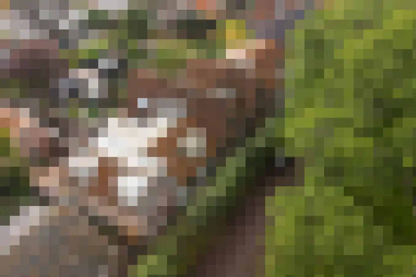 Ring 25 Ouwerkerk thumbnail 39
