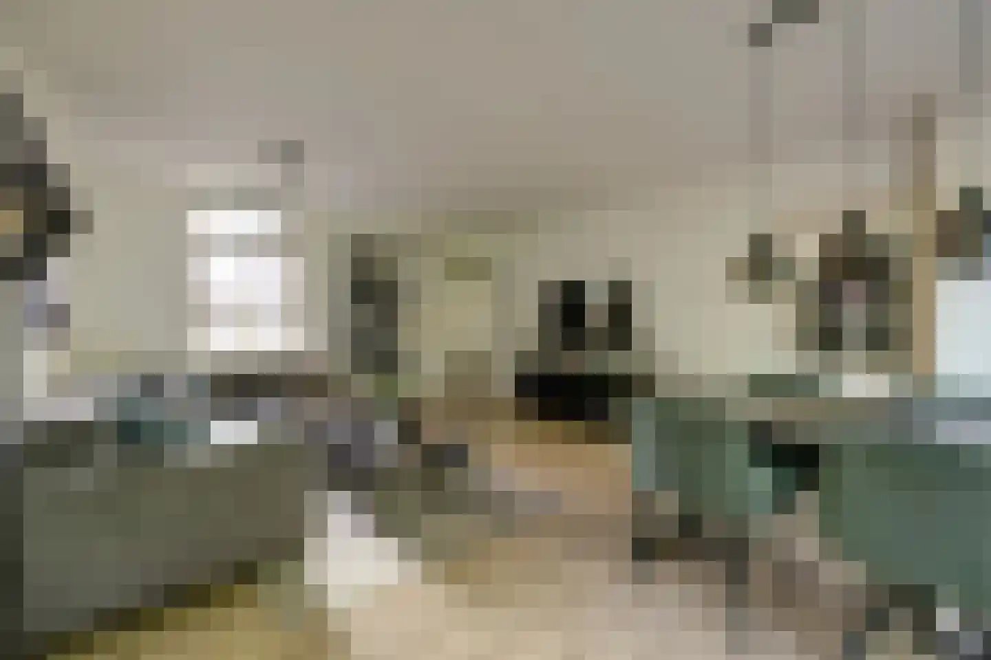 Ring 25 Ouwerkerk thumbnail 4