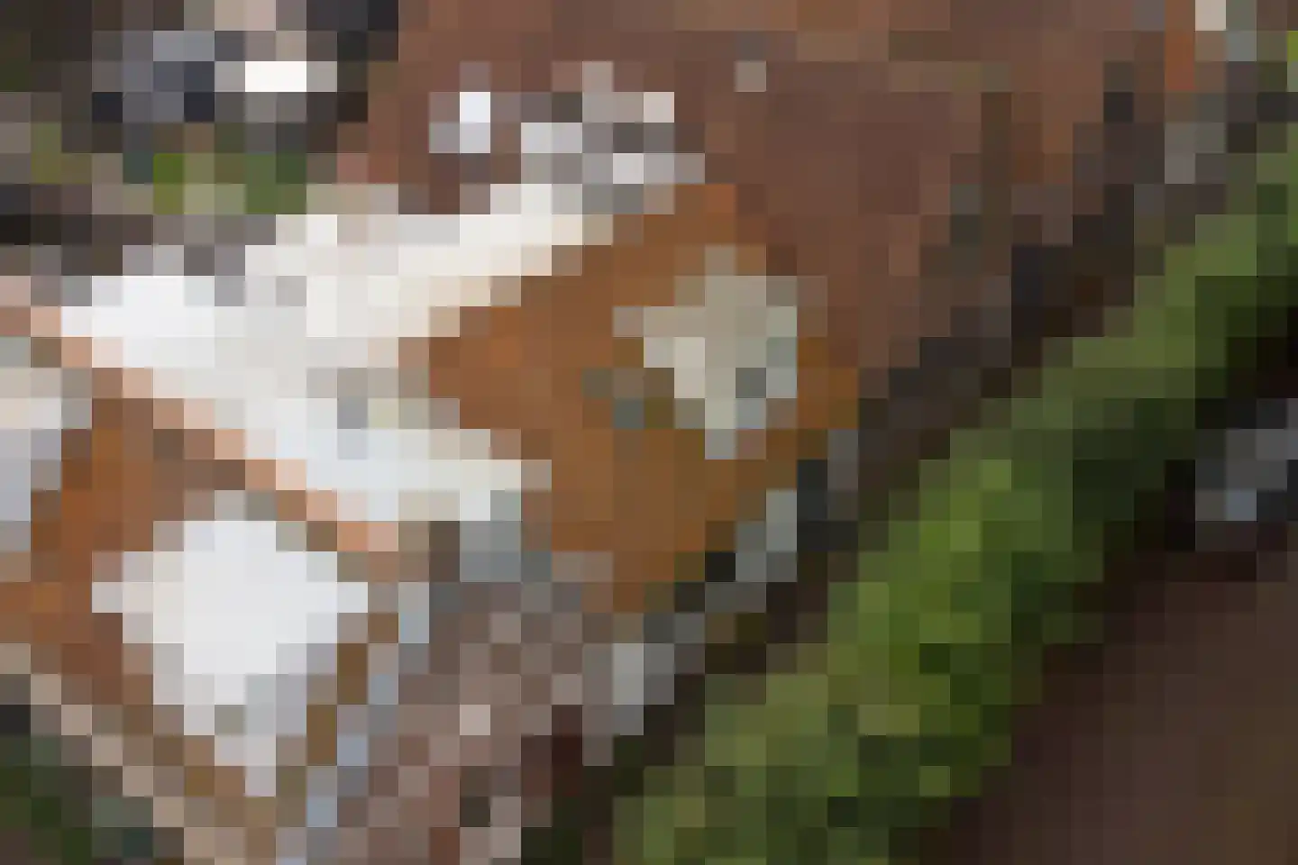Ring 25 Ouwerkerk thumbnail 41