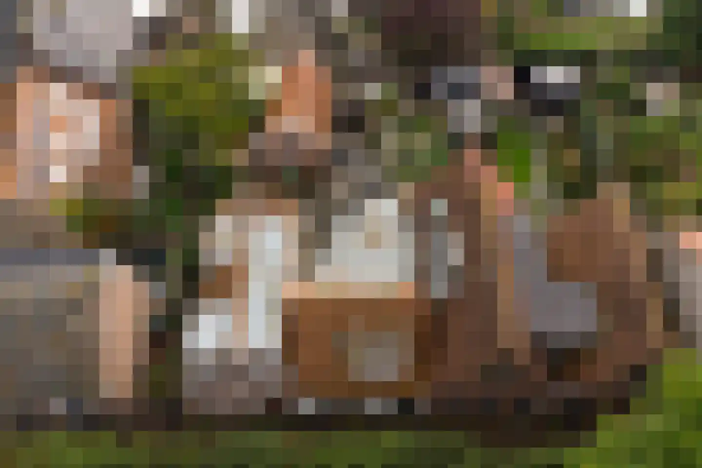 Ring 25 Ouwerkerk thumbnail 42