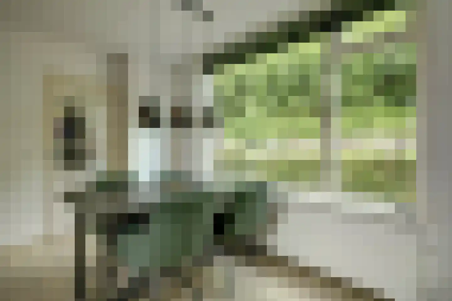 Ring 25 Ouwerkerk thumbnail 5