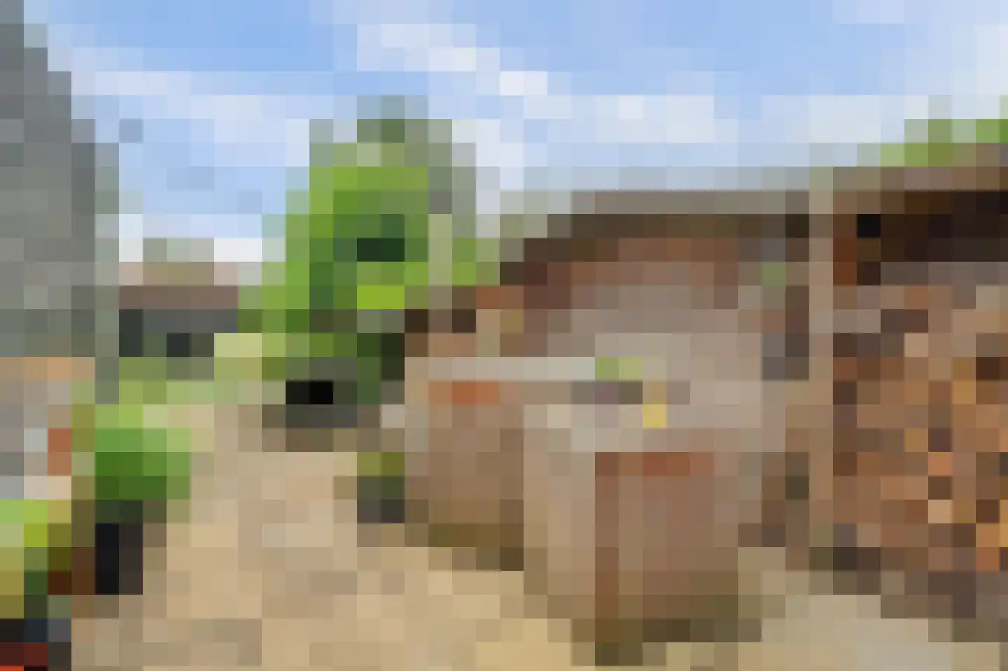 Ring 25 Wolphaartsdijk thumbnail 34