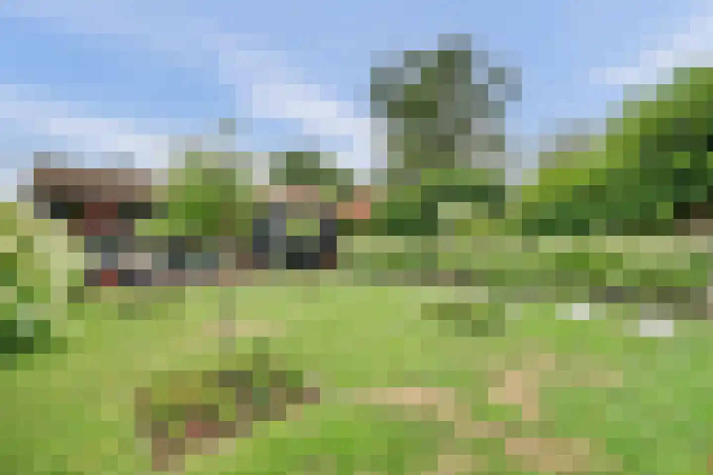 Ring 25 Wolphaartsdijk thumbnail 39