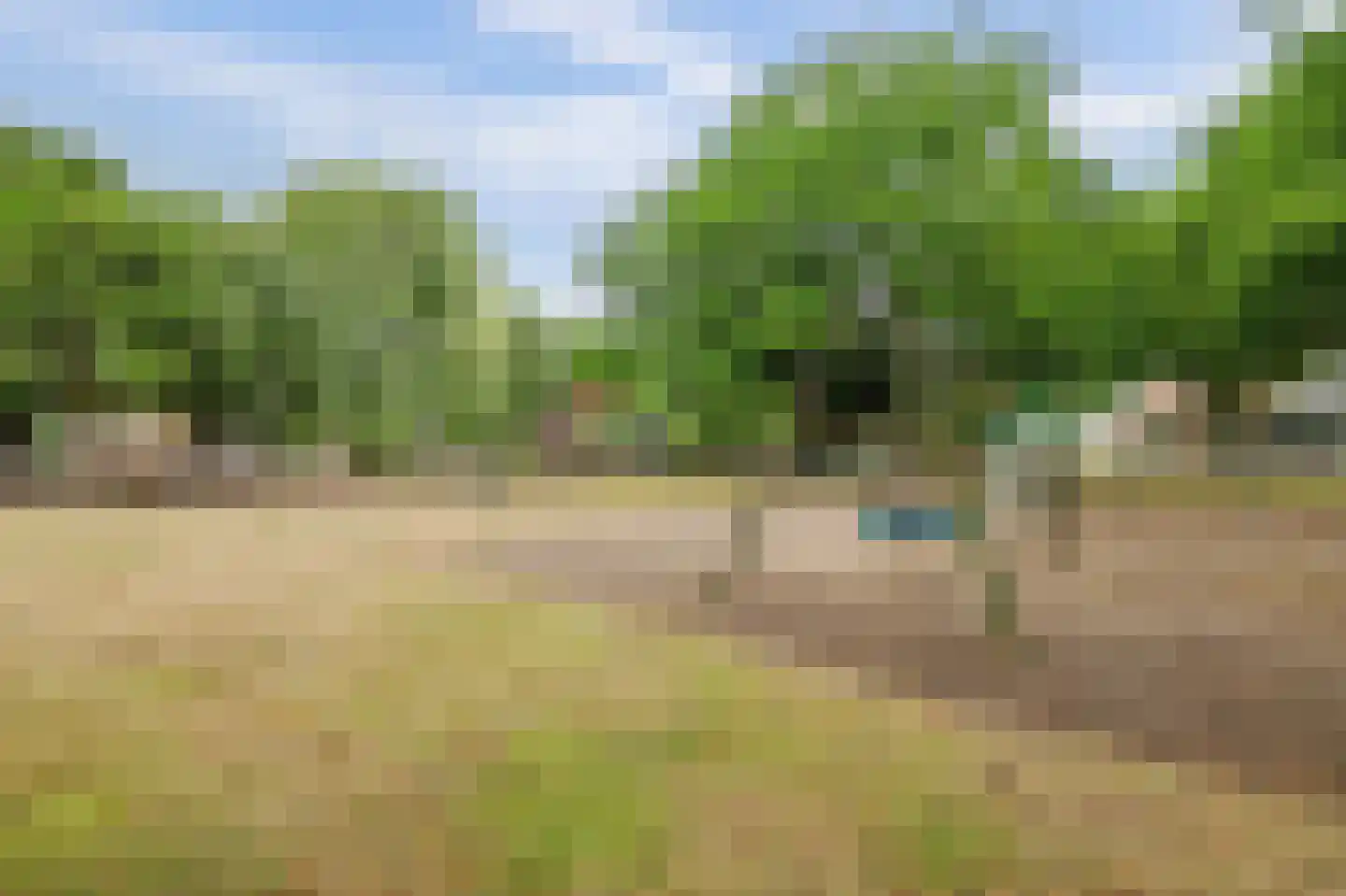 Ring 25 Wolphaartsdijk thumbnail 56