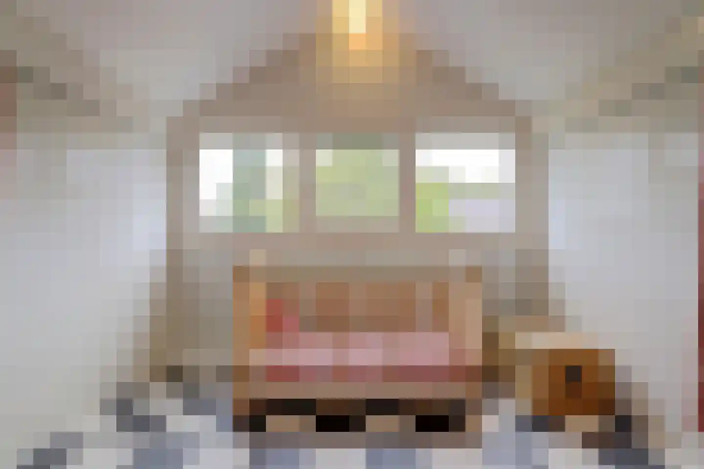Ring 264 Hendrik-Ido-Ambacht thumbnail 29