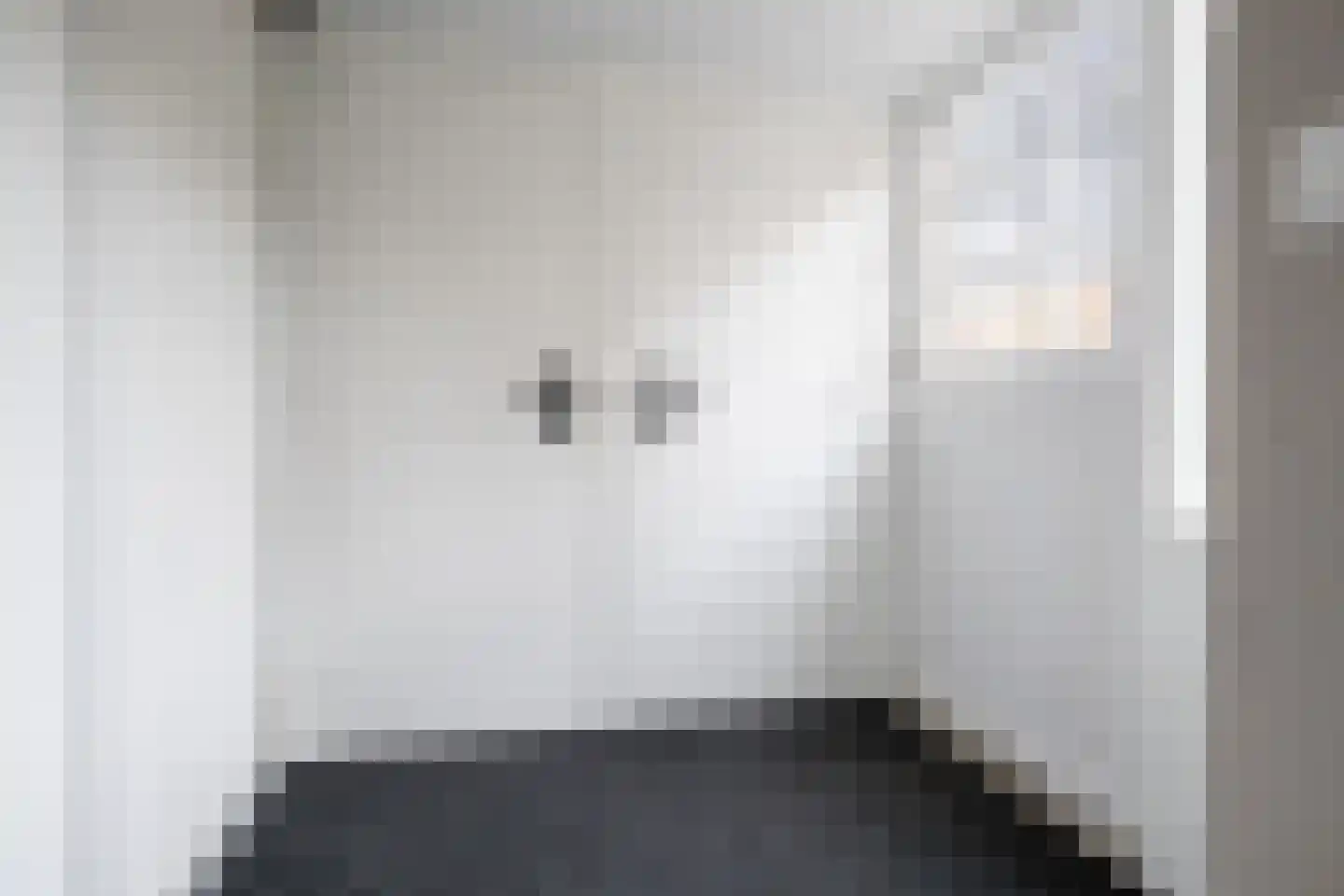 Ring 28 Middelharnis thumbnail 10
