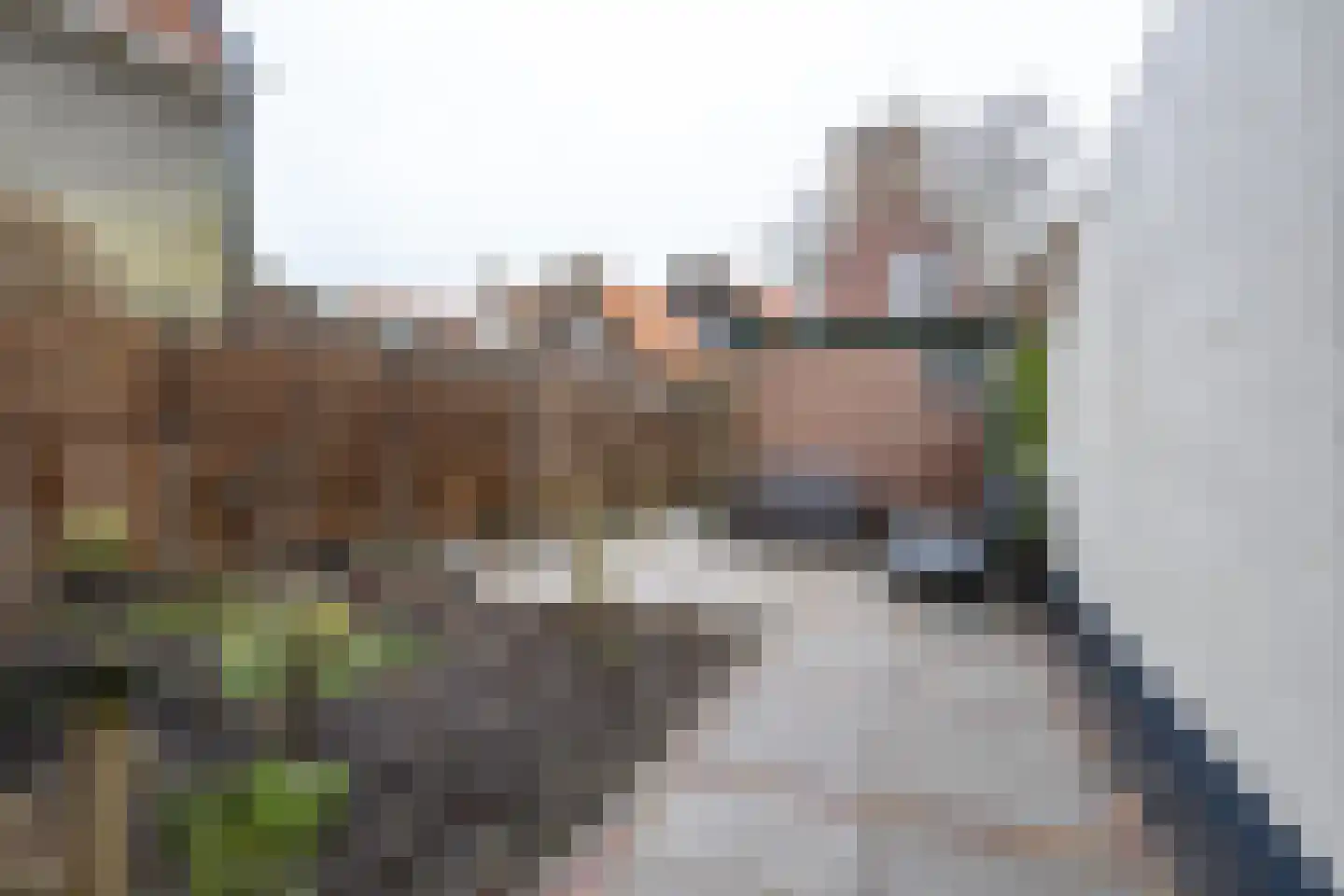 Ring 28 Middelharnis thumbnail 27