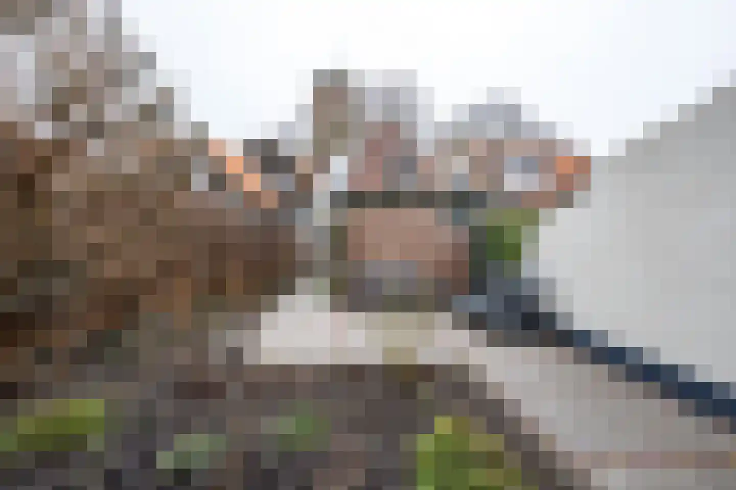 Ring 28 Middelharnis thumbnail 28