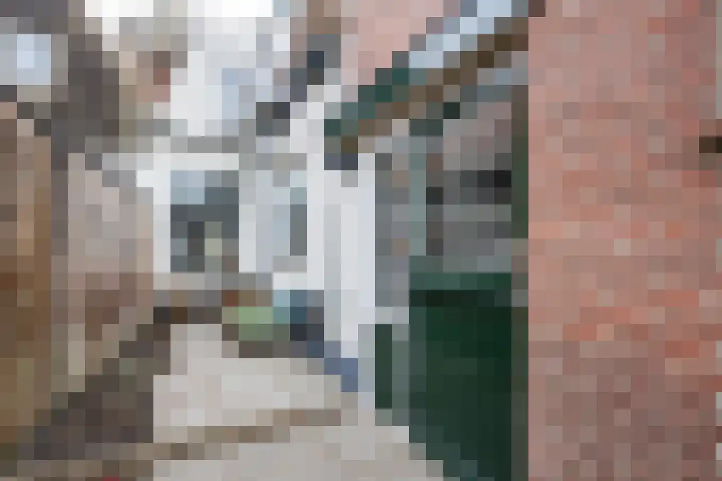 Ring 28 Middelharnis thumbnail 29