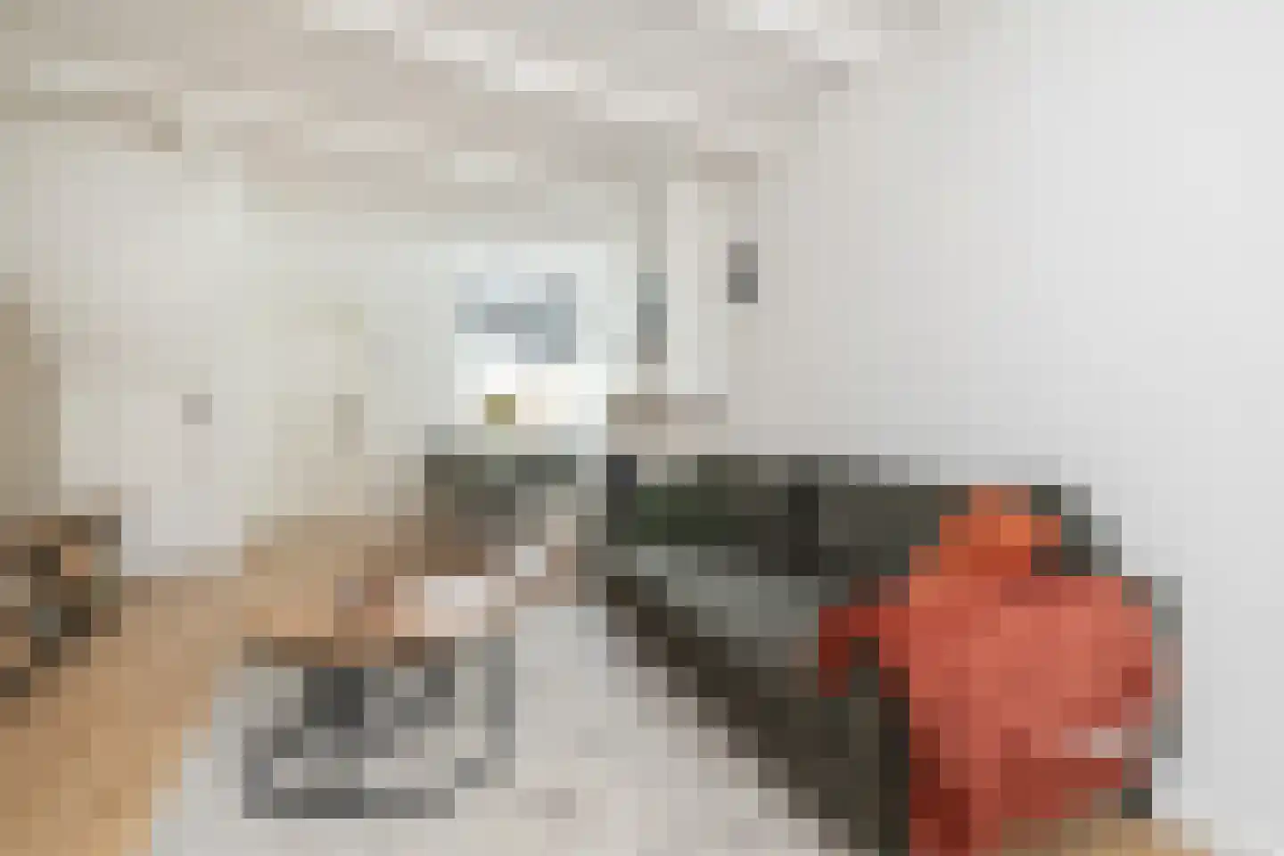 Ring 28 Middelharnis thumbnail 6