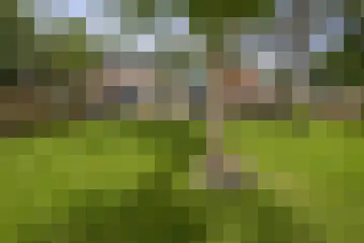 Ring 30 Oude Pekela thumbnail 22