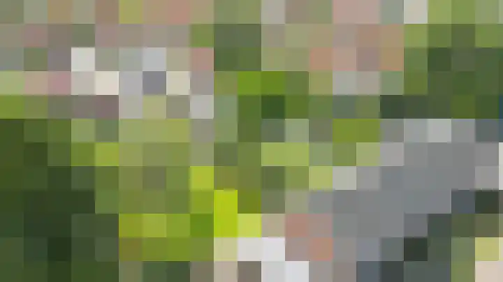 Ring 30 Oude Pekela thumbnail 41