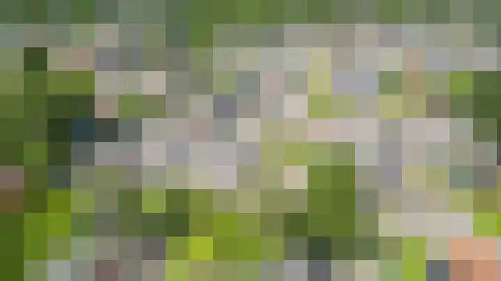 Ring 30 Oude Pekela thumbnail 48