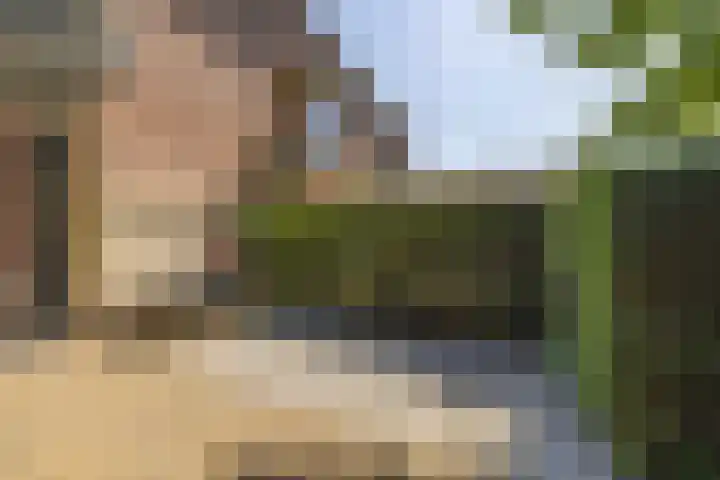 Ring 34 Nieuwdorp thumbnail 10