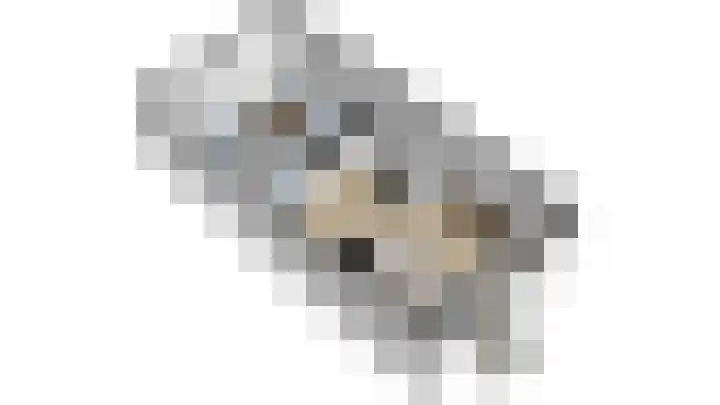 Ring 34 Nieuwdorp thumbnail 22
