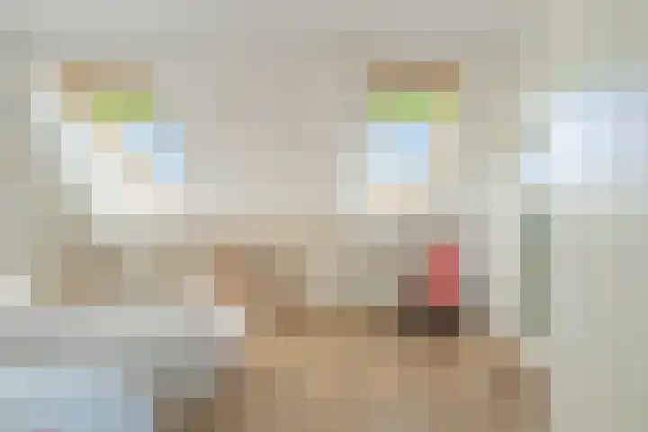 Ring 34 Nieuwdorp thumbnail 39