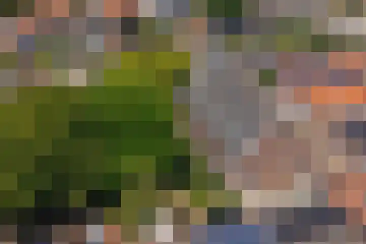 Ring 34 Nieuwdorp thumbnail 4