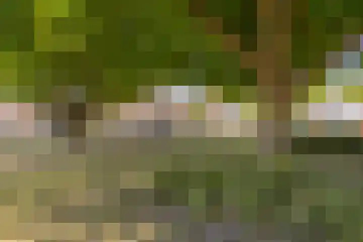 Ring 34 Nieuwdorp thumbnail 5
