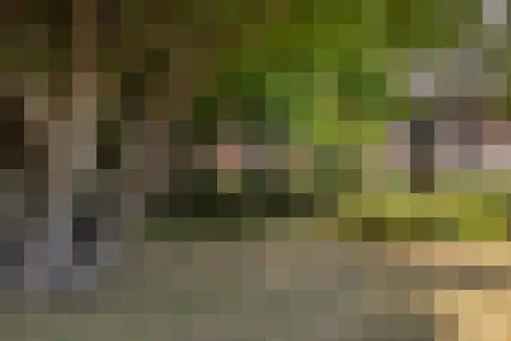 Ring 34 Nieuwdorp thumbnail 6