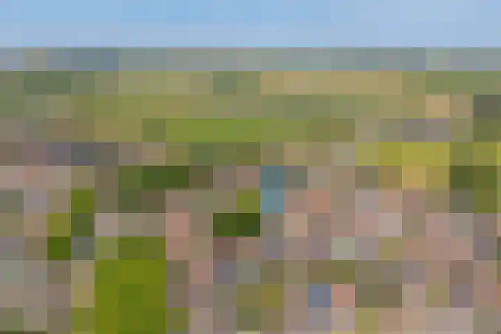 Ring 34 Nieuwdorp thumbnail 7