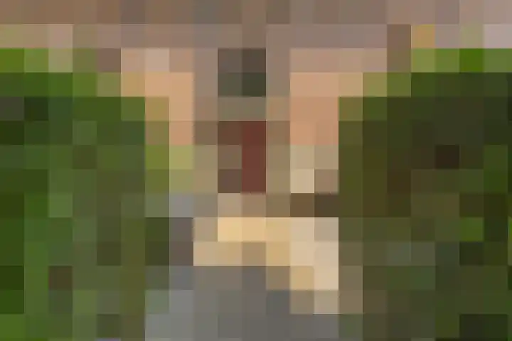 Ring 34 Nieuwdorp thumbnail 8