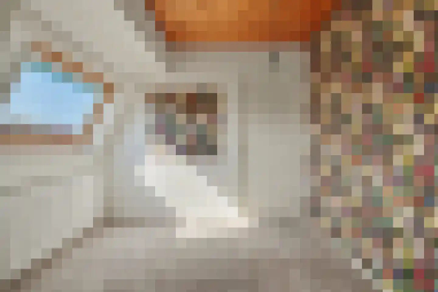 Ring 34 Oudenhoorn thumbnail 24