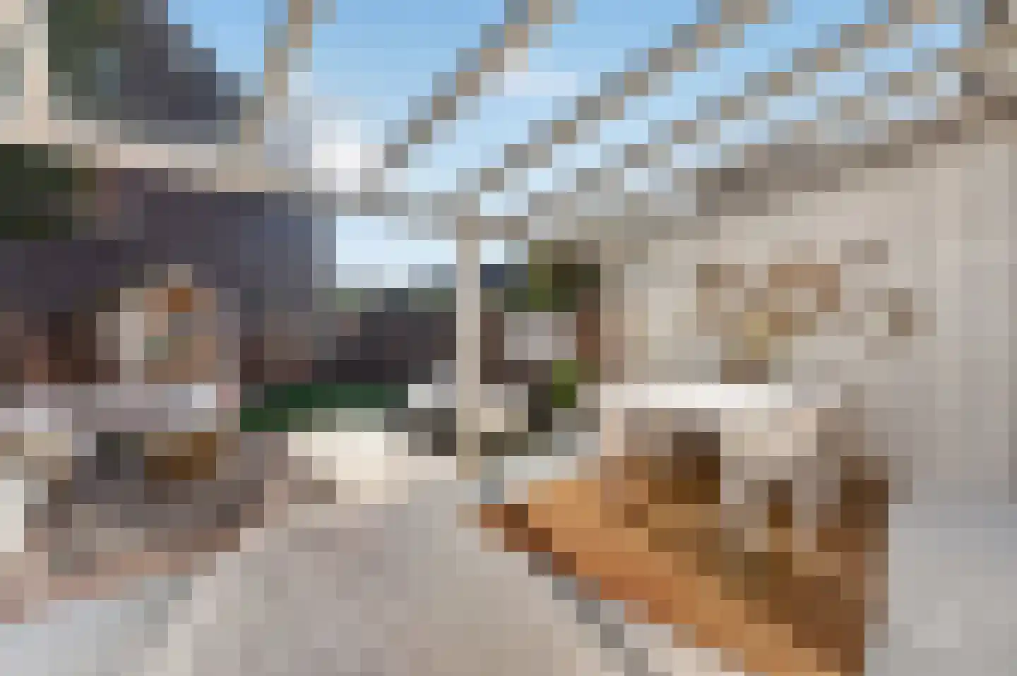 Ring 362 Hendrik-Ido-Ambacht thumbnail 37