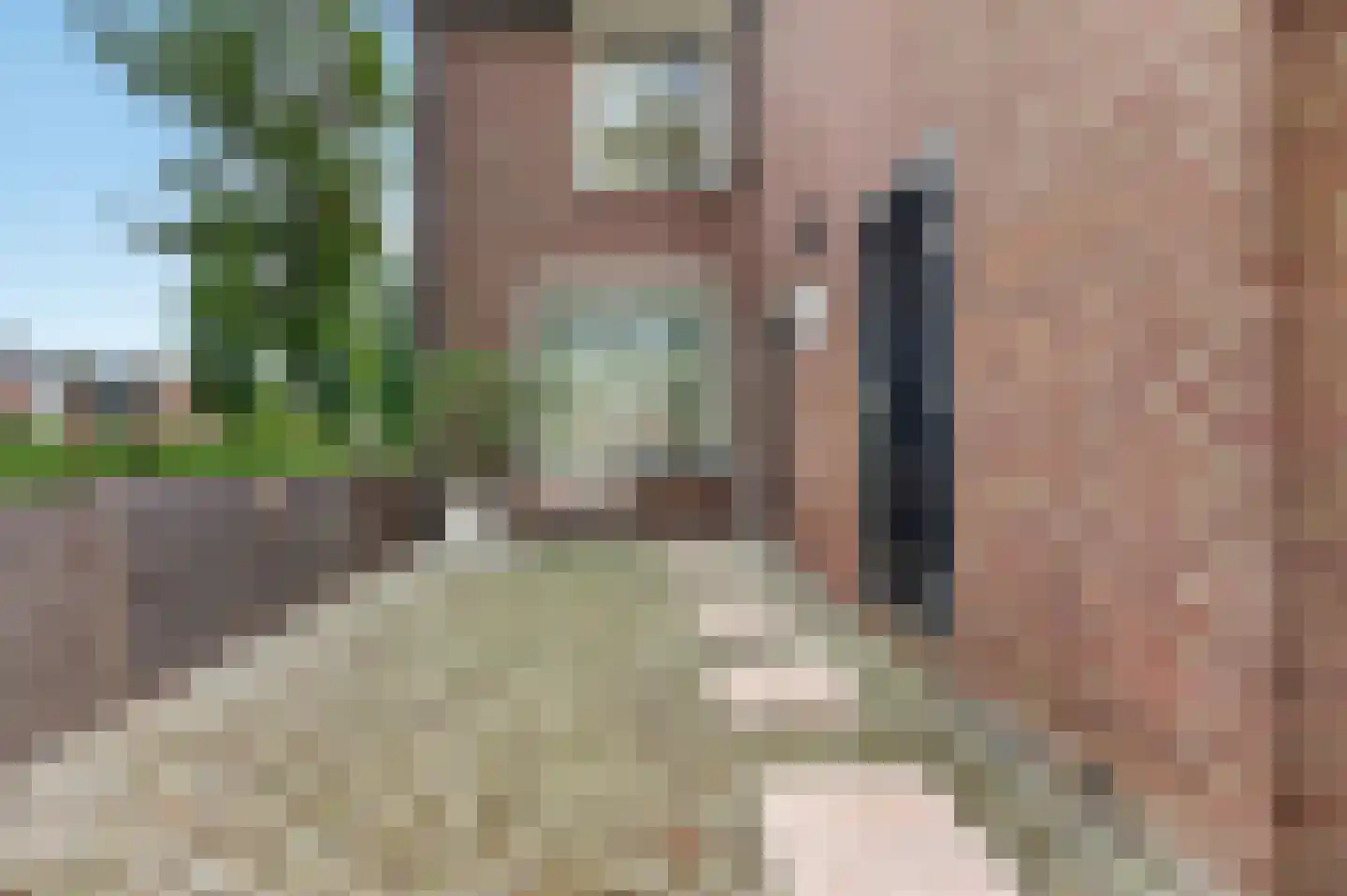 Ring 362 Hendrik-Ido-Ambacht thumbnail 39