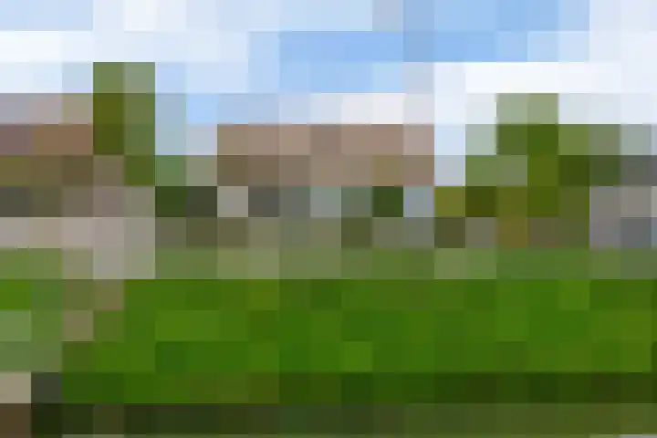 Ring 369 Pernis Rotterdam thumbnail 12