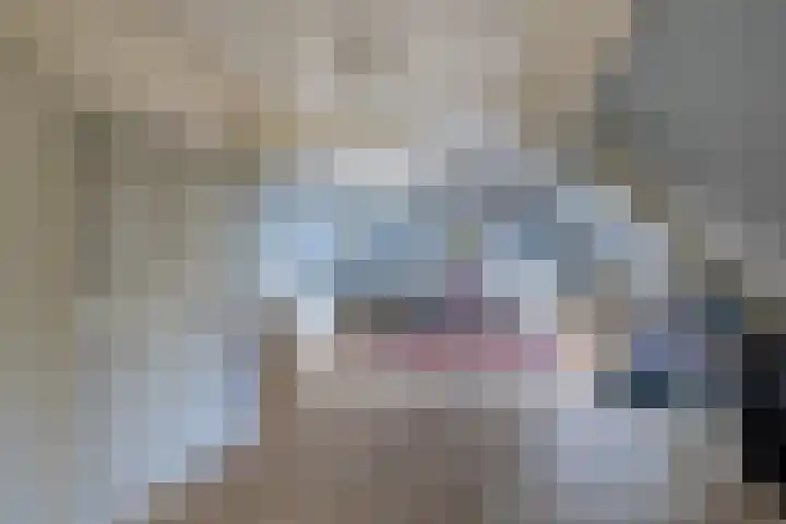 Ring 369 Pernis Rotterdam thumbnail 46