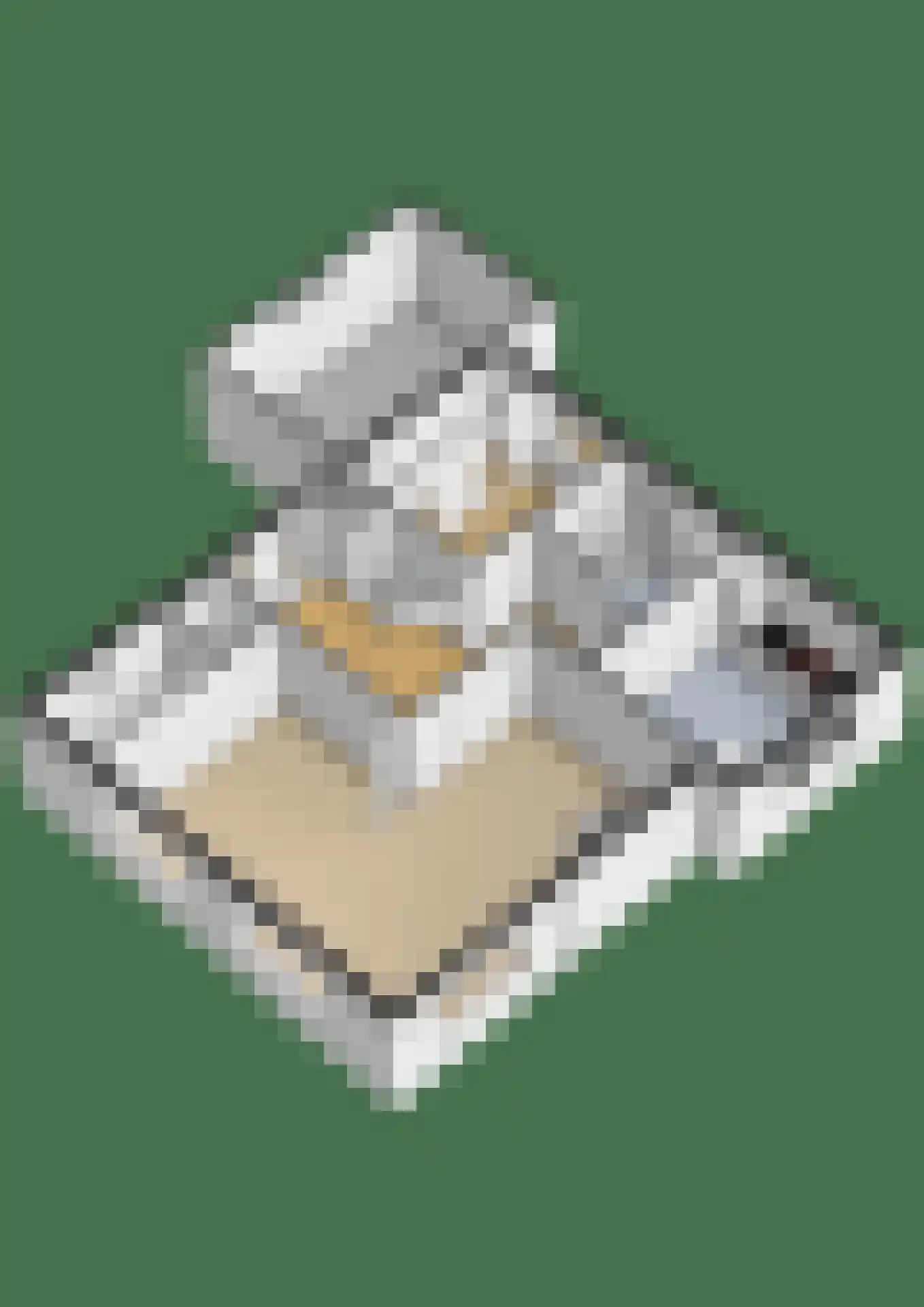 Ring 38 a Oudenhoorn thumbnail 60